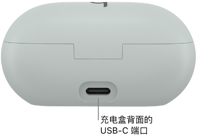 Beats Solo Buds 充电盒背面的 USB-C 充电端口。