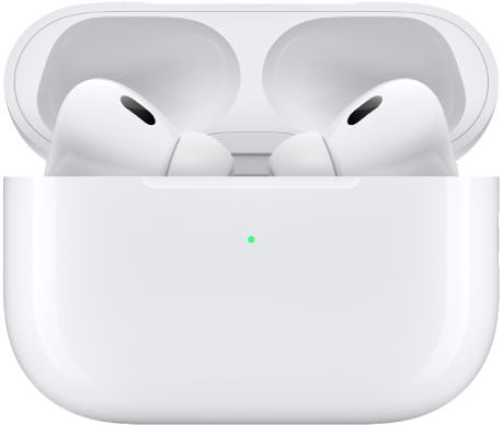 AirPods Pro (2nd generation) in their charging case.