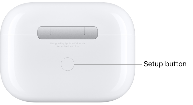 The setup button in the center of the back of the AirPods Pro (all generations) charging case.