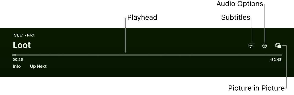 Playback controls