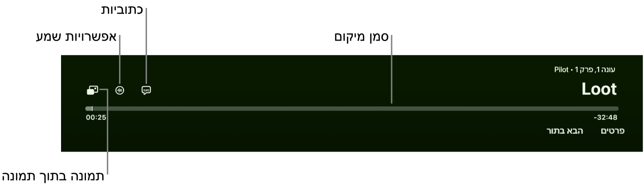 פקדי הפעלה