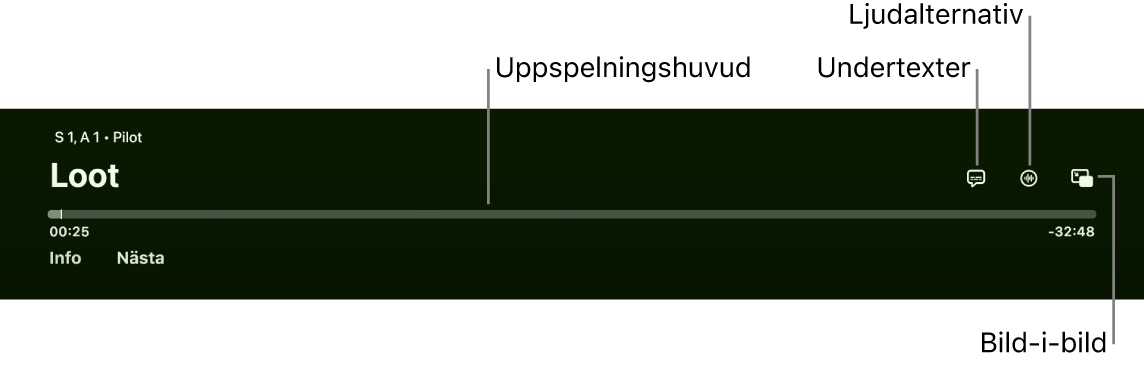 Uppspelningsreglage