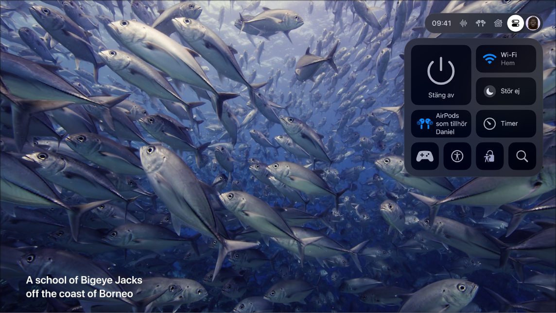 Apple TV-skärm med Kontrollcenter.