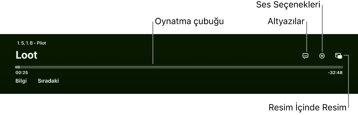 Oynatma denetimleri