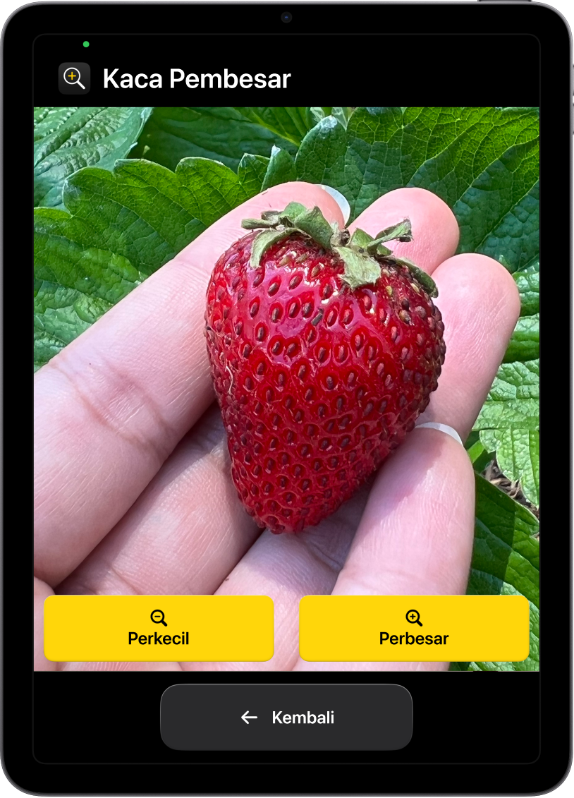 iPad dalam Akses Bantuan dengan app Pembesar terbuka. Gambar dekat tangan memegang stroberi mengisi sebagian besar layar, dengan tombol Perbesar, Perkecil, dan Kembali di bagian bawah.