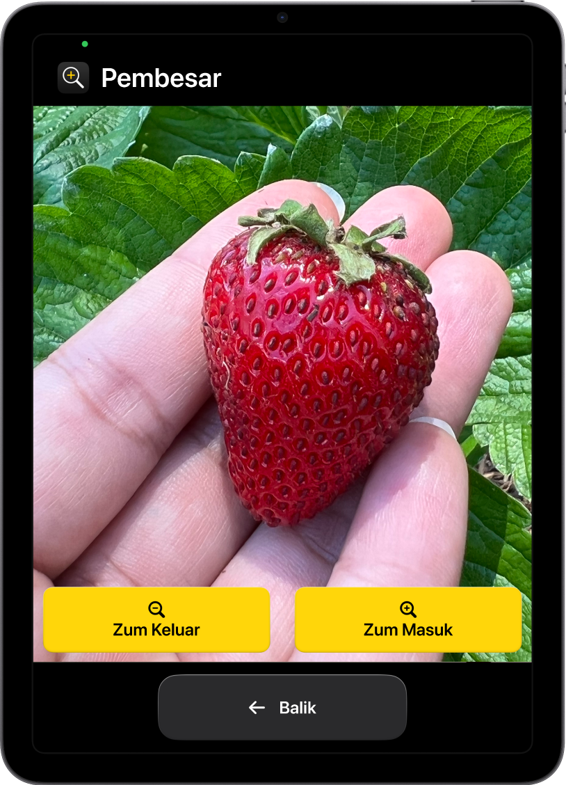 iPad dalam Akses Bantu dengan app Pembesar dibuka. Imej dari dekat tangan memegang strawberi memenuhi sebahagian besar skrin, dengan butang Zum Masuk, Zum Keluar dan Kembali di bahagian bawah.