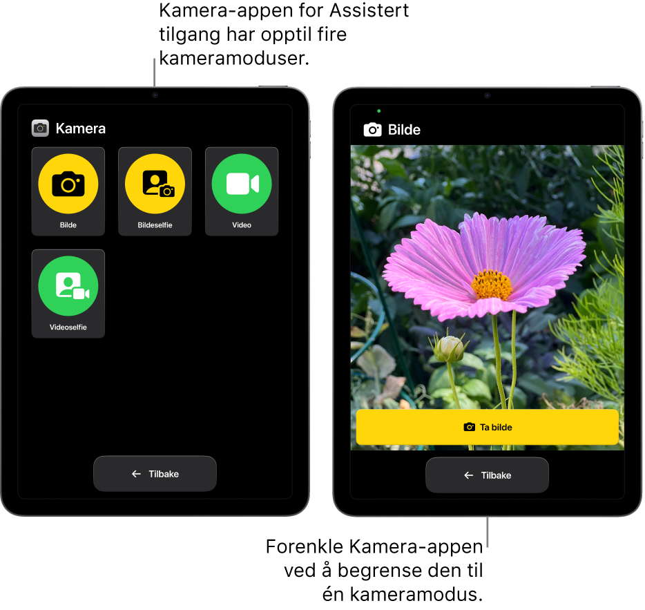 To iPad-skjermer i Assistert tilgang. En av iPadene viser Kamera-appen med kameramoduser som brukere kan velge mellom, som Video- eller Bildeselfie. Den andre iPaden viser Kamera-appen med én modus for å ta bilder.