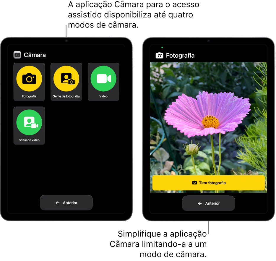 Dois ecrãs de iPad no Acesso assistido. Um iPad mostra a aplicação Câmara com modos de câmara para o utilizador escolher, como “Vídeo” ou “Selfie de fotografia”. O outro iPad mostra a aplicação Câmara com um único modo para tirar fotografias.