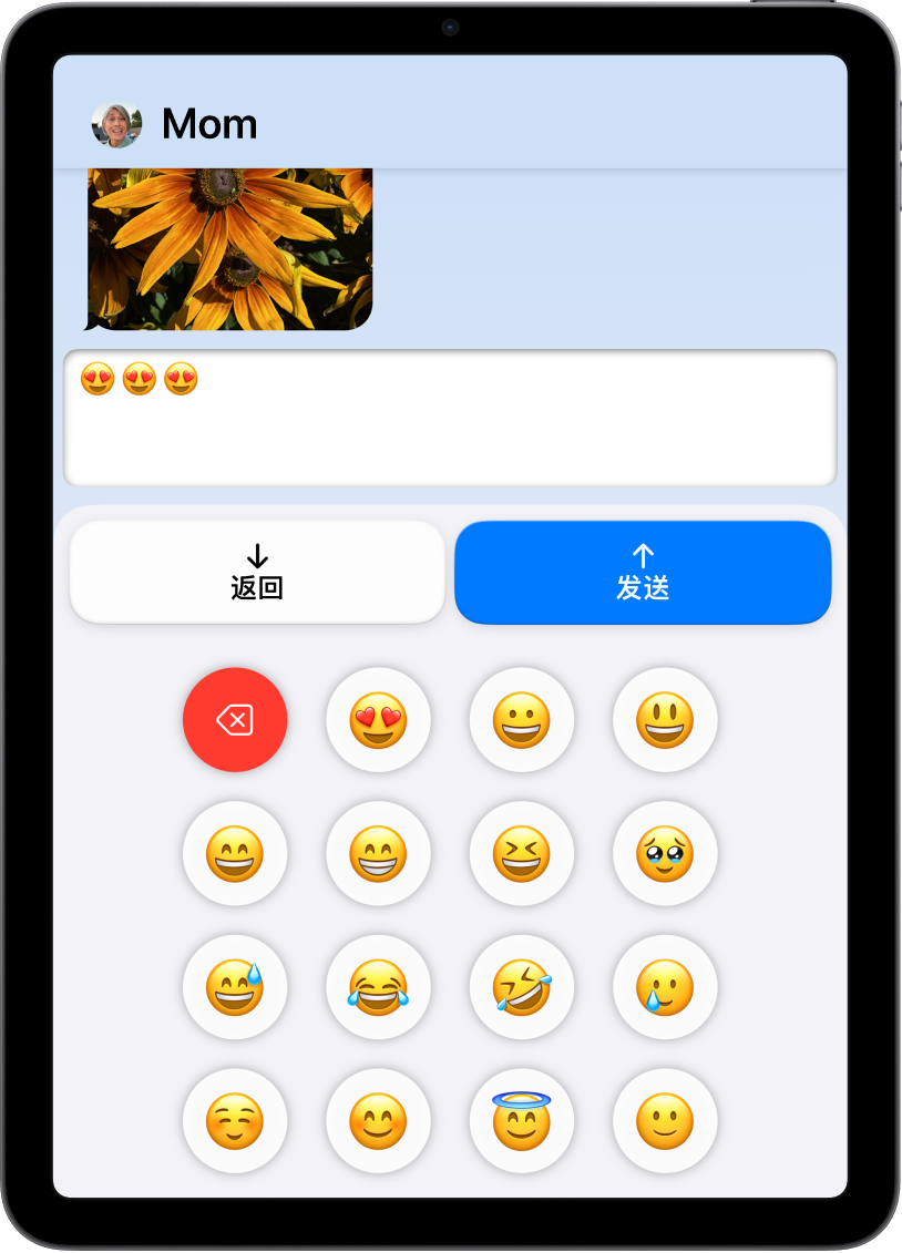 处于辅助访问模式的 iPad 打开了“信息” App。一条信息正使用纯表情符号键盘发送。