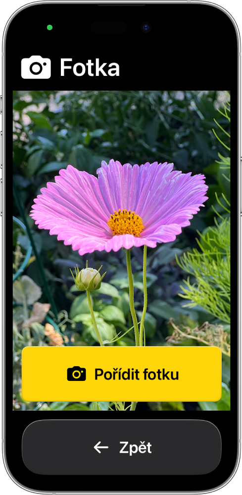 Na displeji iPhonu v asistivním přístupu je otevřená aplikace Fotoaparát s velkými tlačítky pro pořízení fotky a návrat na předchozí obrazovku.