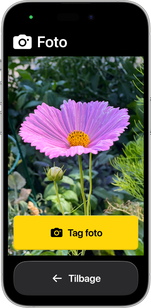 En iPhone i Let tilgængelighed, der viser den åbne app Kamera og store knapper til at tage et foto og vende tilbage til den forrige skærm.