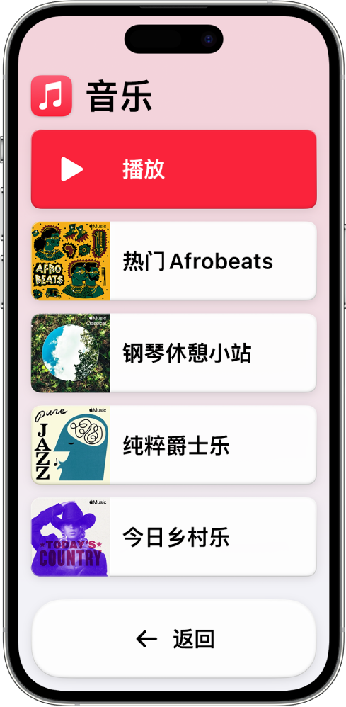 处于辅助访问模式的 iPhone 打开了“音乐” App。屏幕顶部是“播放”按钮，底部是“返回”按钮。屏幕中间填充了多个播放列表组成的列表。