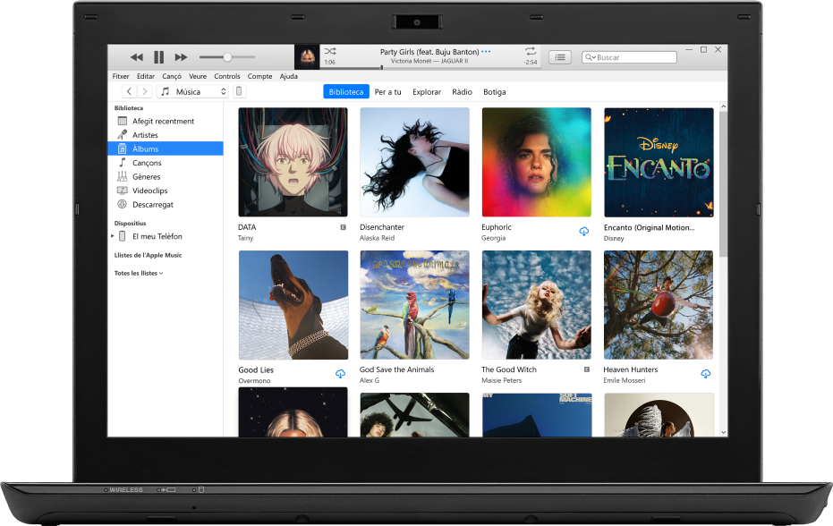 La finestra de l’iTunes amb una biblioteca de diversos àlbums.