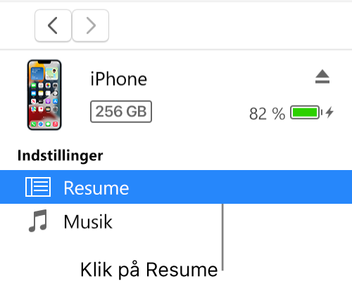 Enhedsvinduet med Resume valgt i indholdsoversigten.