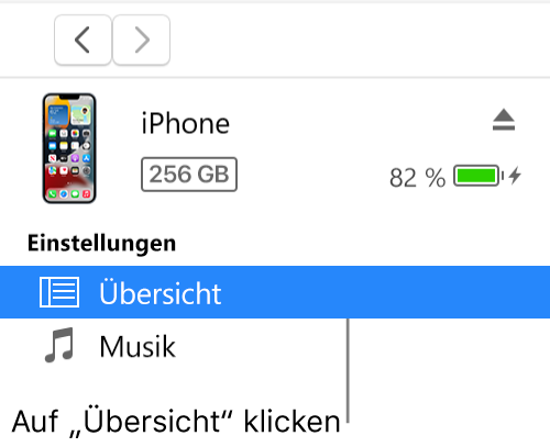 Das Fenster „Gerät“ und in der Seitenleiste ist „Übersicht“ ausgewählt.