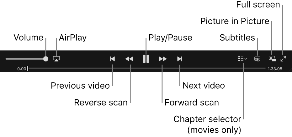 Video controls: Volume, AirPlay, Previous video, Reverse scan, Play/Pause, Forward scan, Next video, Chapter selector (for movies only), Subtitles, Picture in Picture, and Full screen.