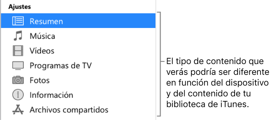 Resumen seleccionado en la barra lateral. Es posible que los tipos de contenido que aparecen varíen en función del dispositivo y del contenido de la biblioteca de iTunes.