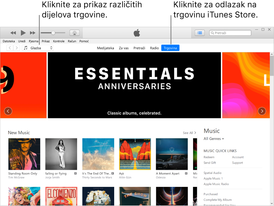 Glavni prozor trgovine iTunes Store: U navigacijskoj traci Trgovina je istaknuta. U gornjem lijevom kutu odaberite prikaz drugog sadržaja u Trgovini (kao što je Glazba ili TV).