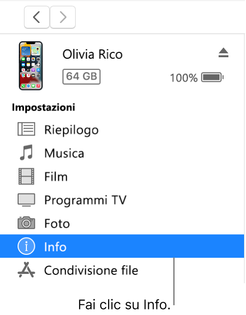 La finestra Dispositivo, con la voce Informazioni selezionata nella barra laterale.