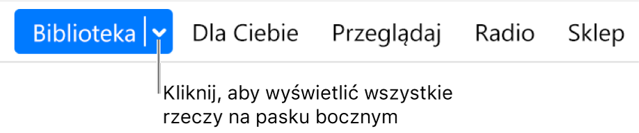 Przycisk Biblioteka na pasku nawigacji, zawierający menu podręczne. Kliknij w ten przycisk, aby uzyskać dostęp do wszystkich elementów paska bocznego, gdy pasek boczny jest ukryty.
