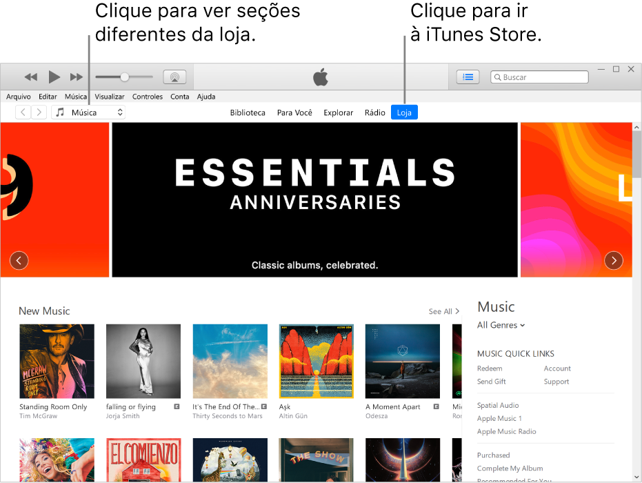 A janela principal da iTunes Store: Na barra de navegação, Loja está em destaque. No canto superior esquerdo, escolha por visualizar conteúdos diferentes da Loja (como Música ou TV).