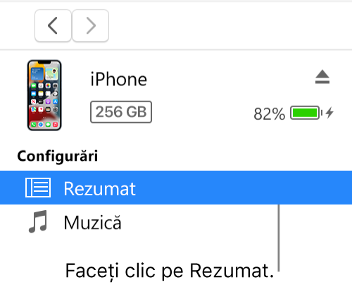 Fereastra Dispozitiv, cu secțiunea Rezumat selectată în bara laterală.