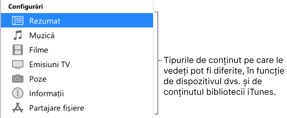 Secțiunea Rezumat este selectată în bara laterală. Tipurile de conținut care apar pot varia în funcție de dispozitivul dvs. și de conținutul bibliotecii dvs. iTunes.