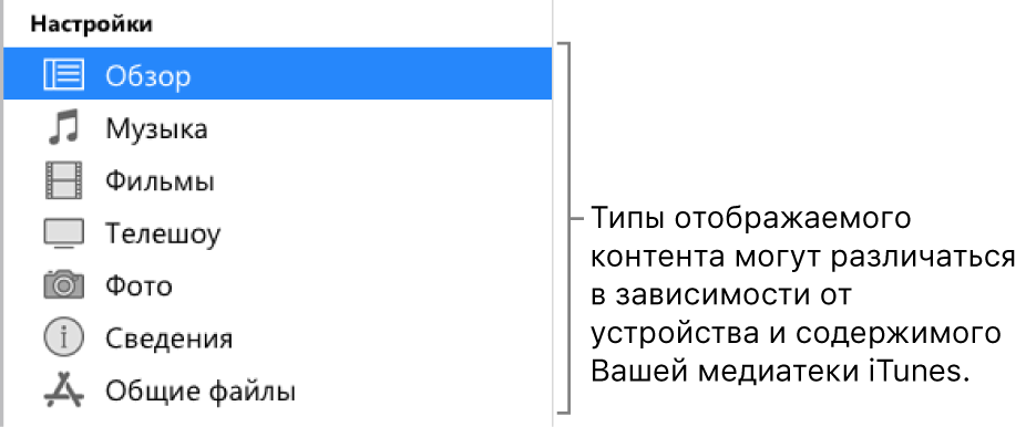 В боковом меню выбрана вкладка «Обзор». Типы отображаемого контента могут различаться в зависимости от устройства и содержимого Вашей медиатеки iTunes.