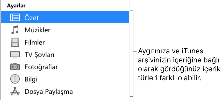 Kenar çubuğunda Özet seçili. Görünen içerik türleri, aygıtınıza ve iTunes arşivinizin içeriğine bağlı olarak değişiklik gösterebilir.