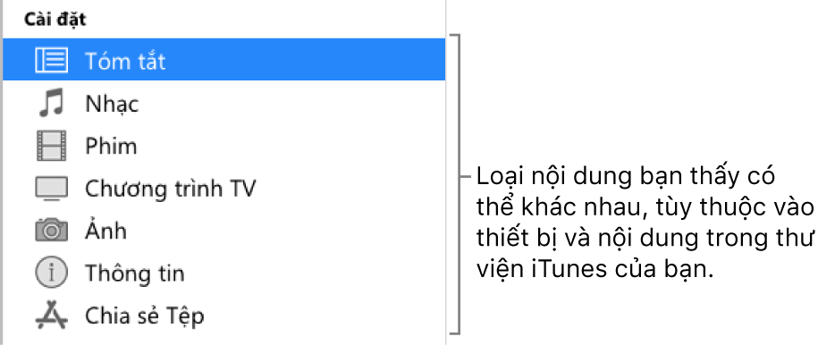 Tóm tắt được chọn trong thanh bên. Loại nội dung xuất hiện có thể thay đổi, tùy thuộc vào thiết bị và nội dung của thư viện iTunes của bạn.