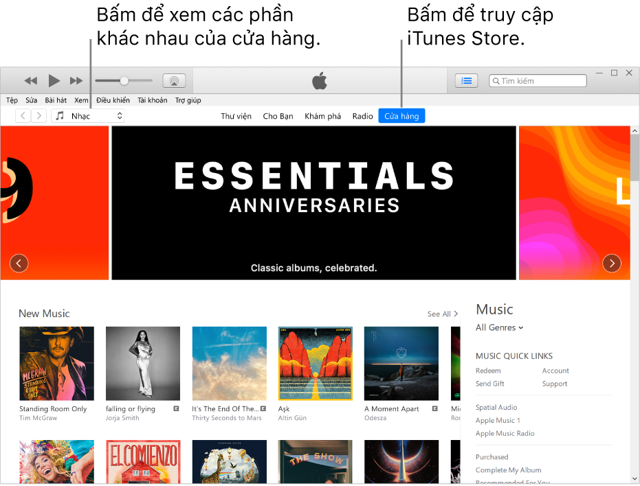 Cửa sổ chính của iTunes Store: Trong thanh điều hướng, Cửa hàng được tô sáng. Ở góc trên cùng bên trái, chọn để xem nội dung khác trong Cửa hàng (chẳng hạn như Nhạc hoặc TV).