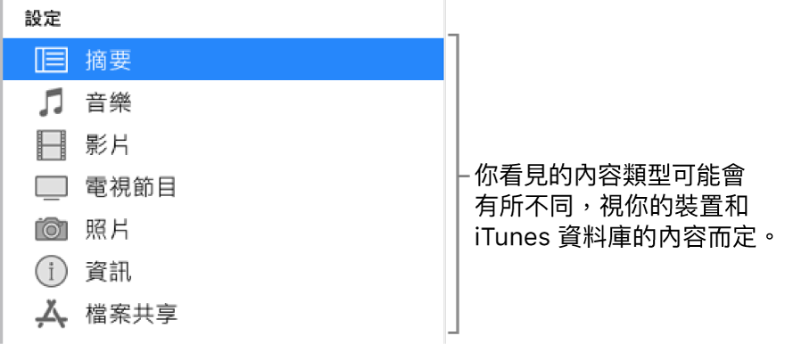 在側邊欄選取的摘要。顯示的內容類型可能有所不同，視你的裝置和 iTunes 資料庫中的內容而定。
