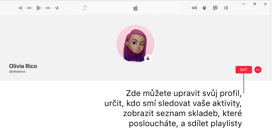 Profilová stránka v Apple Music: Na pravé straně okna se nachází tlačítko Upravit, po jehož výběru můžete v profilu provést změny, určit, kdo smí sledovat vaše aktivity, zobrazit hudbu, kterou posloucháte, a sdílet playlisty.