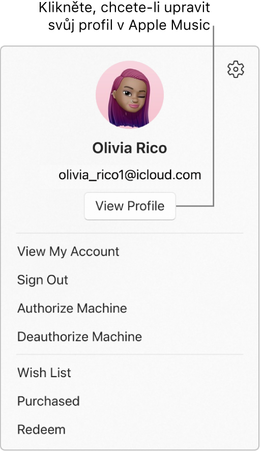 Nabídka profilu, která se otevře, když vyberete své jméno u dolního okraje bočního panelu. Nahoře je vidět obrázek uživatele a účet Apple. Pod účtem Apple se nachází tlačítko Zobrazit profil. V nabídce jsou k dispozici volby Zobrazit můj účet, Autorizovat počítač a Seznam přání.