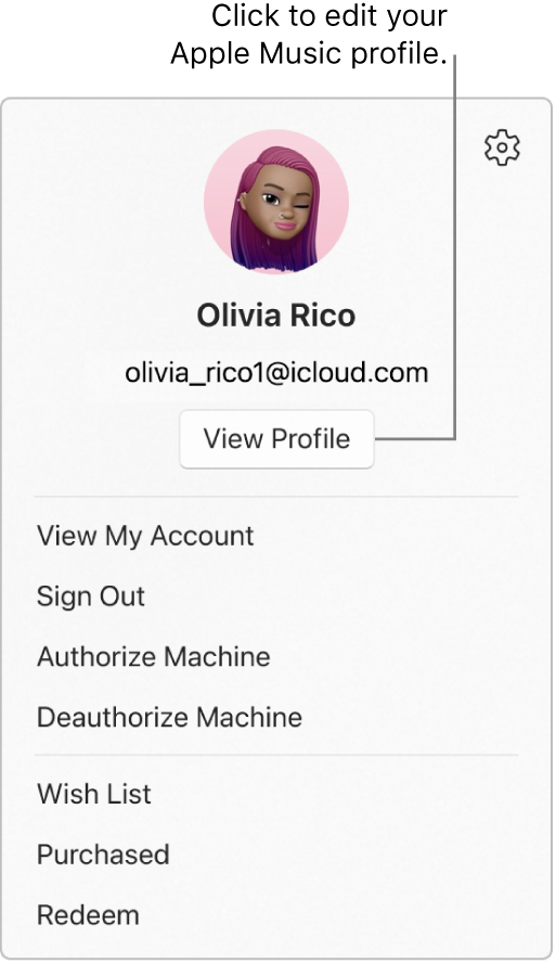 The profile menu, which appears when you select your name at the bottom of the sidebar. The user image and Apple Account are at the top. The View Profile button is below the Apple Account. Menu options include View My Account, Authorise Machine and Wish List.