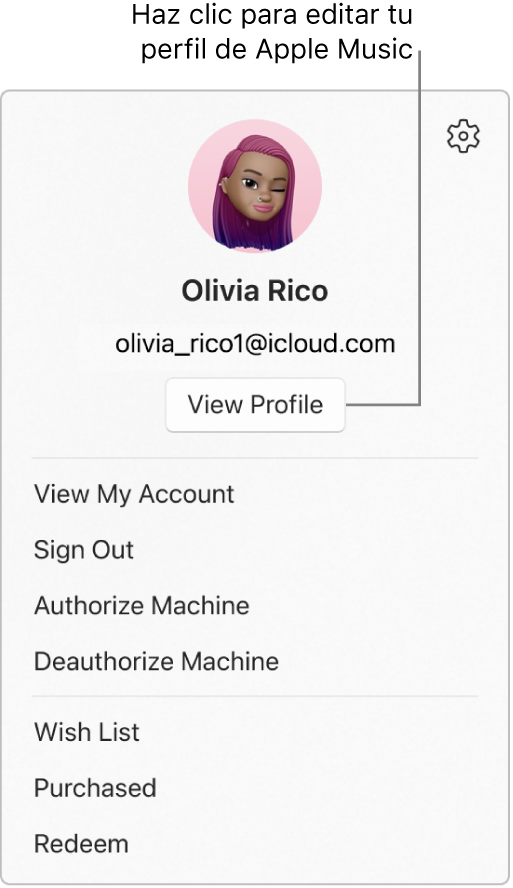 El menú del perfil, que aparece cuando seleccionas tu nombre en la parte inferior de la barra lateral. La foto de usuario y la cuenta de Apple están en la parte superior. El botón Ver perfil está debajo de la cuenta de Apple. Las opciones del menú incluyen Ver mi cuenta, Autorizar equipo, y Lista de deseos.