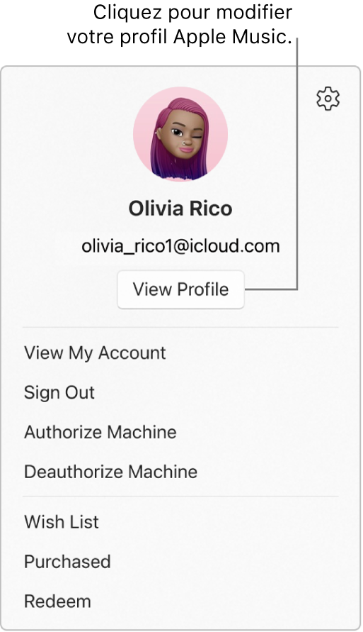 Le menu du profil, qui sʼaffiche lorsque vous sélectionnez votre nom en bas de la barre latérale. L’image et le compte Apple de lʼutilisateur se trouvent en haut. Le bouton « Afficher le profil » se trouve sous le compte Apple. Parmi les options du menu se trouvent « Voir mon compte », « Autoriser la machine » et « Liste de souhaits ».