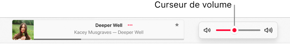 Le curseur de volume.