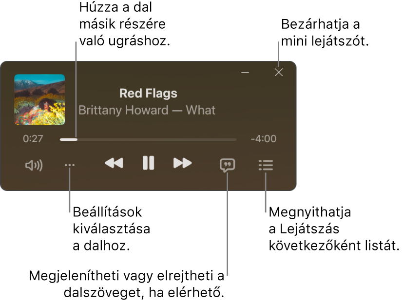 A Mini lejátszó, amelyen az aktuálisan lejátszott dal vezérlői láthatók. Az ablak fő része megjeleníti a dal albumborítóját. Az albumborító alatt egy csúszka látható, amellyel a dal különböző részeire ugorhat, illetve a hangerő módosítására, a beállítások kiválasztására, a dalszövegek megjelenítésére szolgáló gombok, illetve az is látható, hogy mi következik. A jobb felső sarokban a mini lejátszó bezárására használható gomb található.