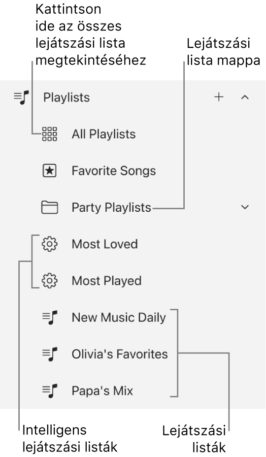 Az Apple Music oldalsávján különböző típusú lejátszási listák láthatók. Az összes lejátszási lista megtekintéséhez válassza az Összes lejátszási lista lehetőséget. Továbbá egy lejátszásilista-mappát is létrehozhat.