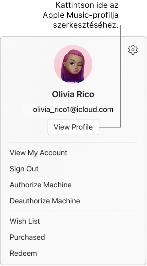 A profilmenü, amely akkor jelenik meg, amikor kiválasztja a nevét az oldalsáv alján. Felül a felhasználó képe és az Apple-fiók látható. Az Apple-fiók alatt a Profil megtekintése gomb jelenik meg. A menüopciók között megtalálható a Saját fiók megtekintése, a Számítógép feljogosítása és a Kívánságlista lehetőség.