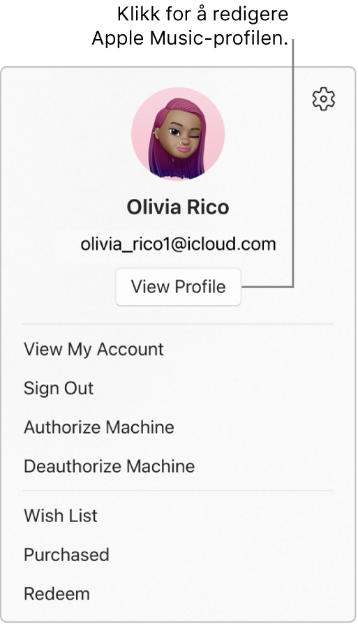 Profilmenyen som vises når du velger navnet ditt nederst i sidepanelet. Brukerbildet og Apple-kontoen er øverst. Vis profil-knappen er under Apple-kontoen. Menyvalgene inkluderer Vis konto, Autoriser maskin og Ønskeliste.