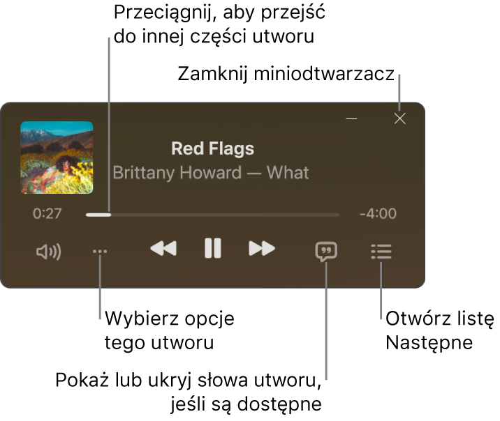 Miniodtwarzacz wyświetlający narzędzia sterowania odtwarzaniem utworu. W głównej części okna widoczna jest grafika albumu danego utworu. Poniżej grafiki znajduje się suwak umożliwiający przechodzenie do innych miejsc utworu oraz przyciski regulacji głośności, wybierania opcji, wyświetlania słów i sprawdzania listy utworów odtwarzanych w następnej kolejności. W prawym górnym rogu znajduje się przycisk pozwalający zamknąć miniodtwarzacz.