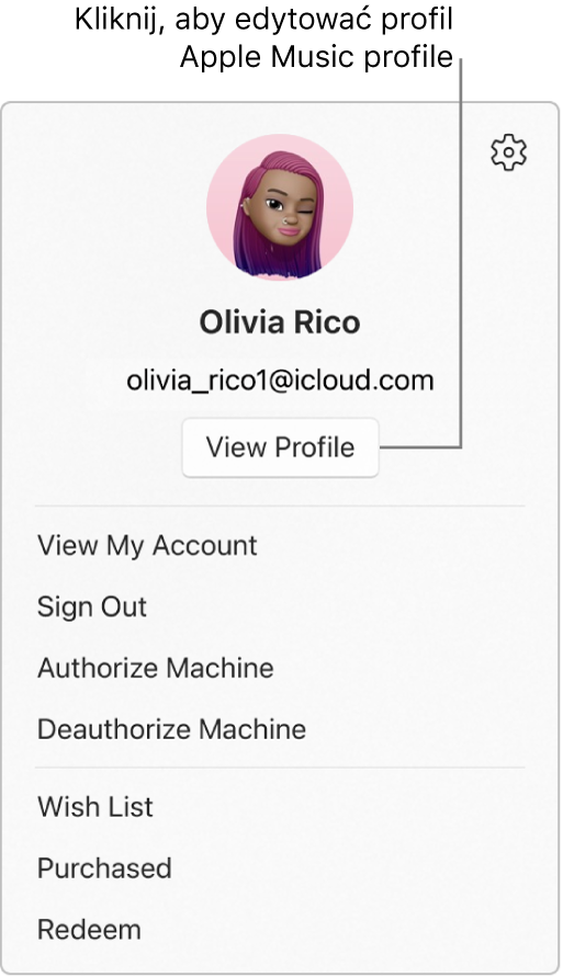 Menu profilu, które pojawia się po wybraniu Twojego imienia i nazwiska na dole paska bocznego. Zdjęcie użytkownika i konto Apple są widoczne u góry. Przycisk Pokaż profil znajduje się pod kontem Apple. Menu zawiera m.in. opcje Pokaż moje konto, Autoryzuj komputer i Lista życzeń.