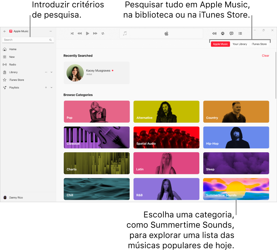 Janela do Apple Music mostrando o campo de pesquisa no canto superior esquerdo, a lista de categorias no centro da janela e os botões Apple Music, Sua Biblioteca e iTunes Store no canto superior direito.