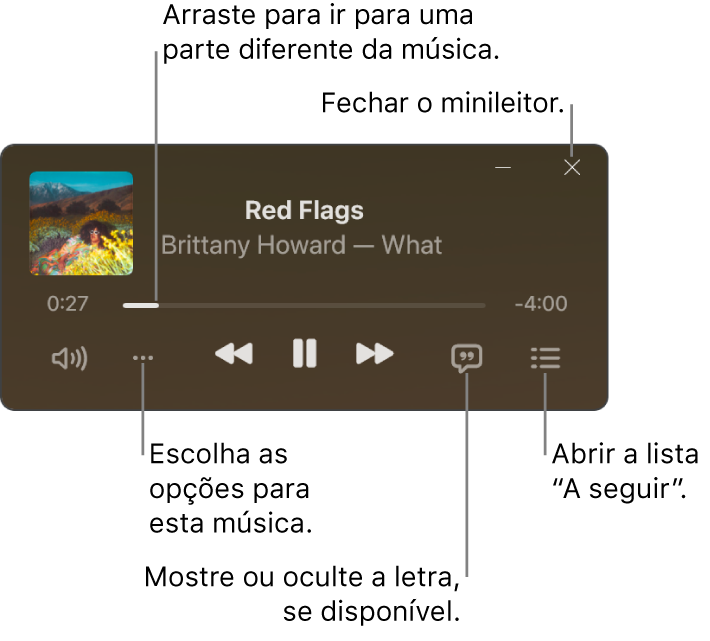 O minileitor mostra os controlos relativos à música que está a ser reproduzida. A parte principal da janela mostra o grafismo do álbum para a música. Por baixo do grafismo encontra-se um nivelador para ir para outra parte da música e os botões para ajustar o volume, selecionar opções, mostrar a letra e ver o que será reproduzido a seguir. No canto superior direito está um botão para fechar o minileitor.