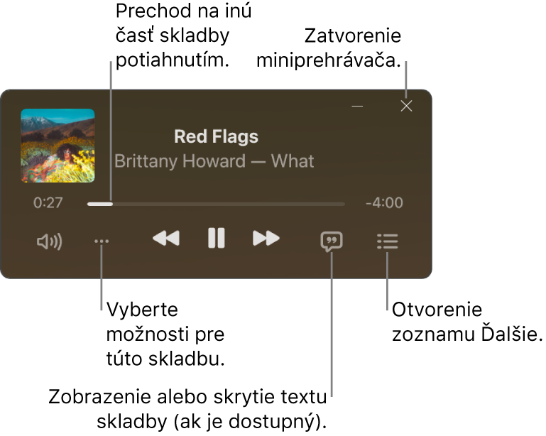 Miniprehrávač zobrazujúci ovládacie prvky skladby, ktorá sa práve prehráva. Hlavná časť okna zobrazuje obal albumu danej skladby. Pod obalom albumu sa nachádza posuvník na posúvanie do inej časti skladby a tlačidlá na úpravu hlasitosti, výber možností, zobrazenie textu a nasledujúcej skladby. V pravom hornom rohu je tlačidlo na ukončenie Miniprehrávača.