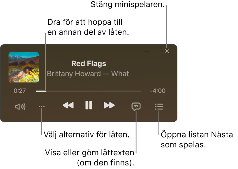 Minispelaren visar reglage för låten som spelas. Huvuddelen av fönstret visar bildmaterialet för låten. Nedanför bildmaterialet finns ett reglage för att flytta till en annan del av låten och knappar för att justera volymen, välja alternativ, visa låttexten och se vad som spelas härnäst. I det nedre höfra hörnet finns en knapp för att stänga minispelaren.
