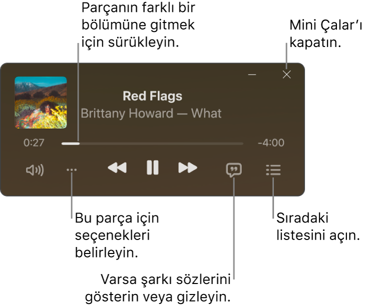 Çalmakta olan parçanın denetimlerini gösteren Mini Çalar. Pencerenin ana kısmında parçaya ait albüm resmi gösterilir. Resmin altında parçanın farklı bir kısmına geçmeyi sağlayan bir sürgü ve ses yüksekliğini ayarlamaya, seçenekleri seçmeye, şarkı sözlerini göstermeye, sıradaki parçayı görmeye yönelik düğmeler vardır. Sağ üst köşede Mini Çalar’ı kapatma düğmesi yer alır.