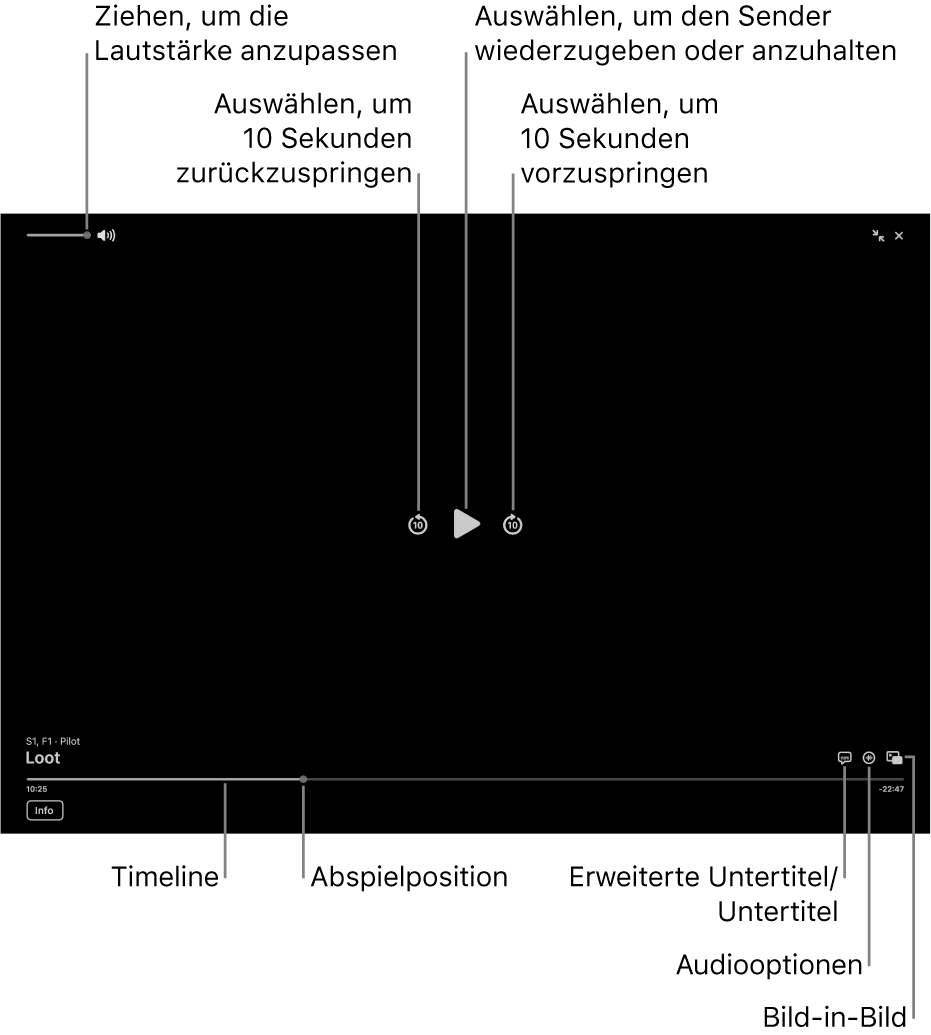 Die Wiedergabesteuerungen im Viewer, einschließlich Tasten zum Abspielen oder Anhalten, zum Vor- und Zurückspringen und zum Einstellen der Lautstärke.